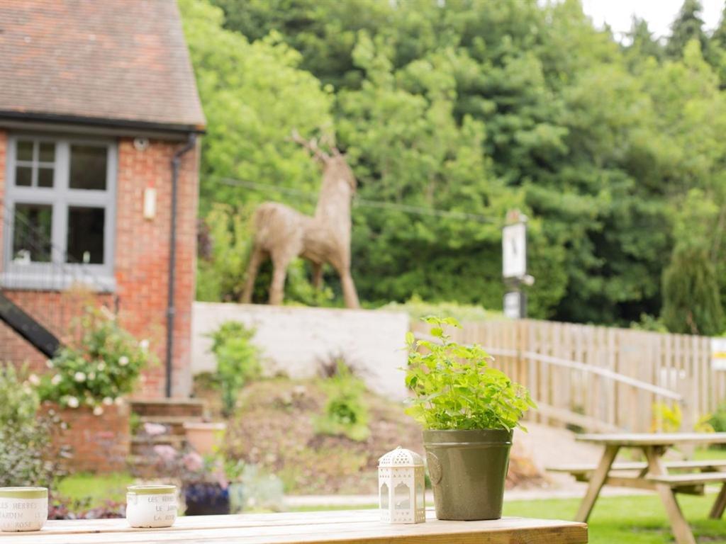 The Roebuck Inn Shedfield Buitenkant foto
